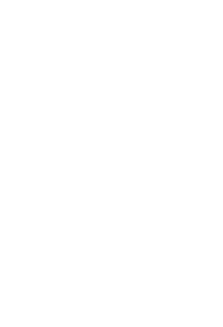 SAEJ